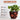 SG Traders™ Chengdu Plant Pots