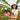 SG Traders™ Chengdu Plant Pots