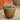 SG Traders Antique Cromarty PLANT POT