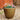 SG Traders 2 X Large Plastic Round Cromarty Plant Pot Flower