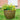 SG Traders Antique Cromarty PLANT POT