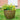 SG Traders 2 X Large Plastic Round Cromarty Plant Pot Flower