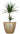 SG Traders 2 X Large Plastic Round Cromarty Plant Pot Flower