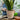 SG Traders Nantucket Plant Pot - Flower Planters
