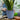 SG Traders Nantucket Plant Pot - Flower Planters