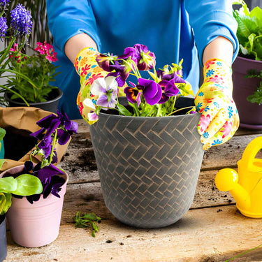 SG Traders Nantucket Plant Pot - Flower Planters