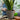 SG Traders Nantucket Plant Pot - Flower Planters