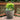 SG Traders Nantucket Plant Pot - Flower Planters