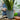 SG Traders Nantucket Plant Pot - Flower Planters