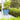 SG Traders™ Savannah plant pots