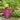 SG Traders™ Savannah plant pots