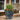 SG Traders™ Savannah plant pots