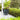 SG Traders™ Savannah plant pots