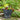 SG Traders™ Savannah plant pots