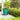 SG Traders™ Savannah plant pots