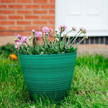 SG Traders™ Savannah plant pots