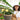 SG TRADERS™ Starry Sky Planters (Pack of 2)