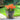 SG TRADERS™ Starry Sky Planters (Pack of 2)