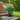 SG TRADERS™ Starry Sky Planters (Pack of 2)